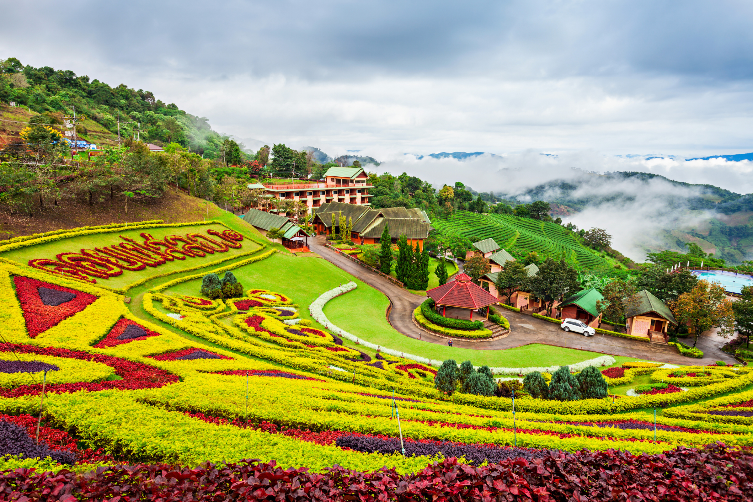 doi mae salong (4).webp